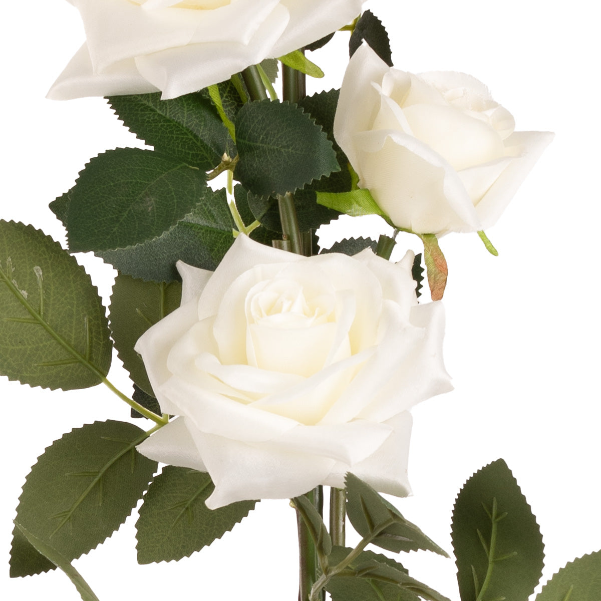 Large Diana Rose Spray x 5 White image 2