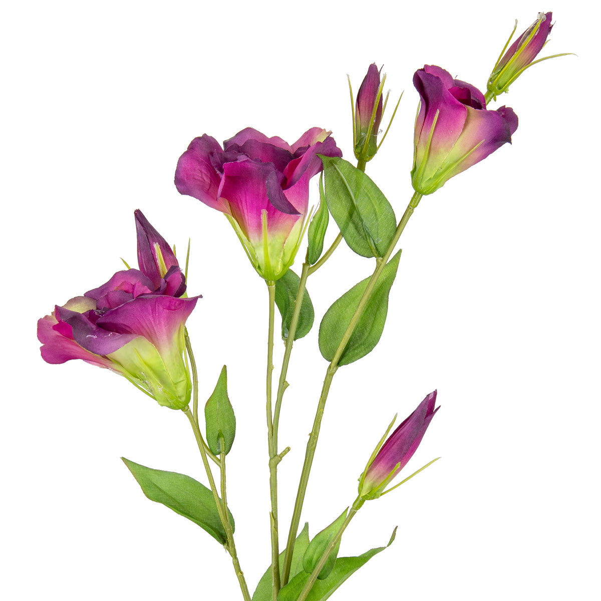 Eleganza Lisianthus Spray x 3 Plum image 1