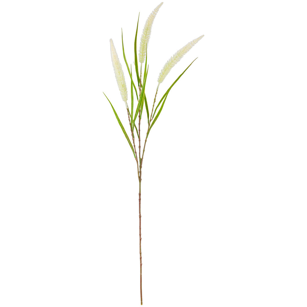 100cm Reed Spray White image 0