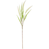 100cm Reed Spray White image 0