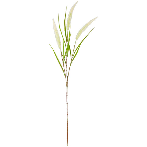 100cm Reed Spray White image 0