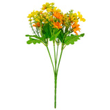 Mixed Daisy Bush Yellow Orange image 2