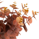 Eucalyptus Bush Brown (16 Heads) image 2