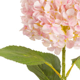 Hydrangea Stem Light Pink (19cm Head 66cm Stem) image 1