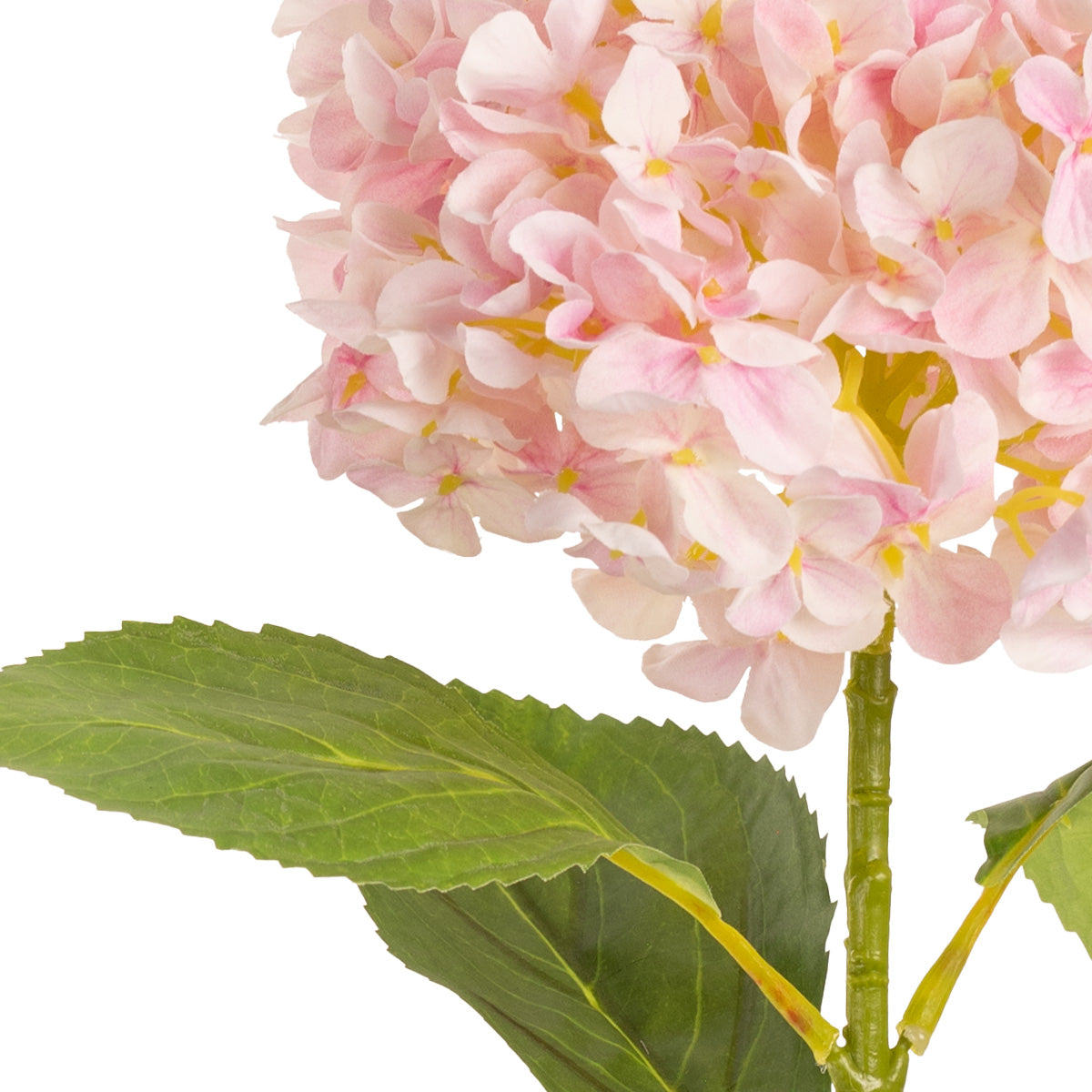 Hydrangea Stem Light Pink (19cm Head 66cm Stem) image 1
