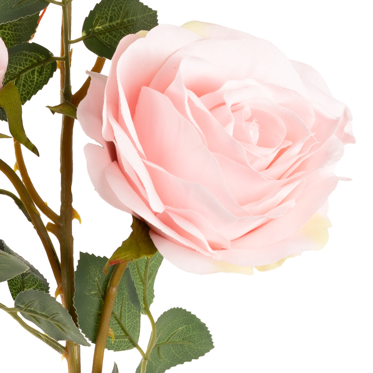 Large Charlotte Rose Spray x 3 Soft Pink image 2