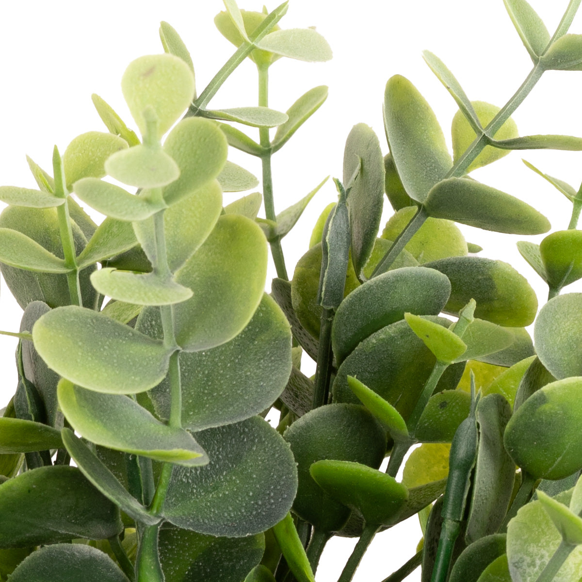 Plastic Eucalyptus Bush Small Olive Green image 2