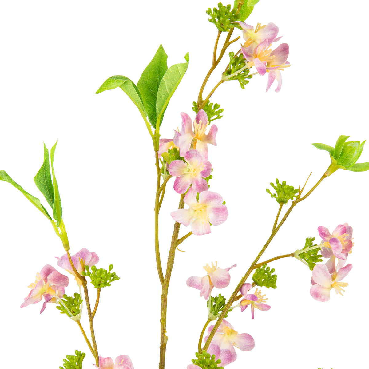 Meadow Blossom Lavender/Cream image 1