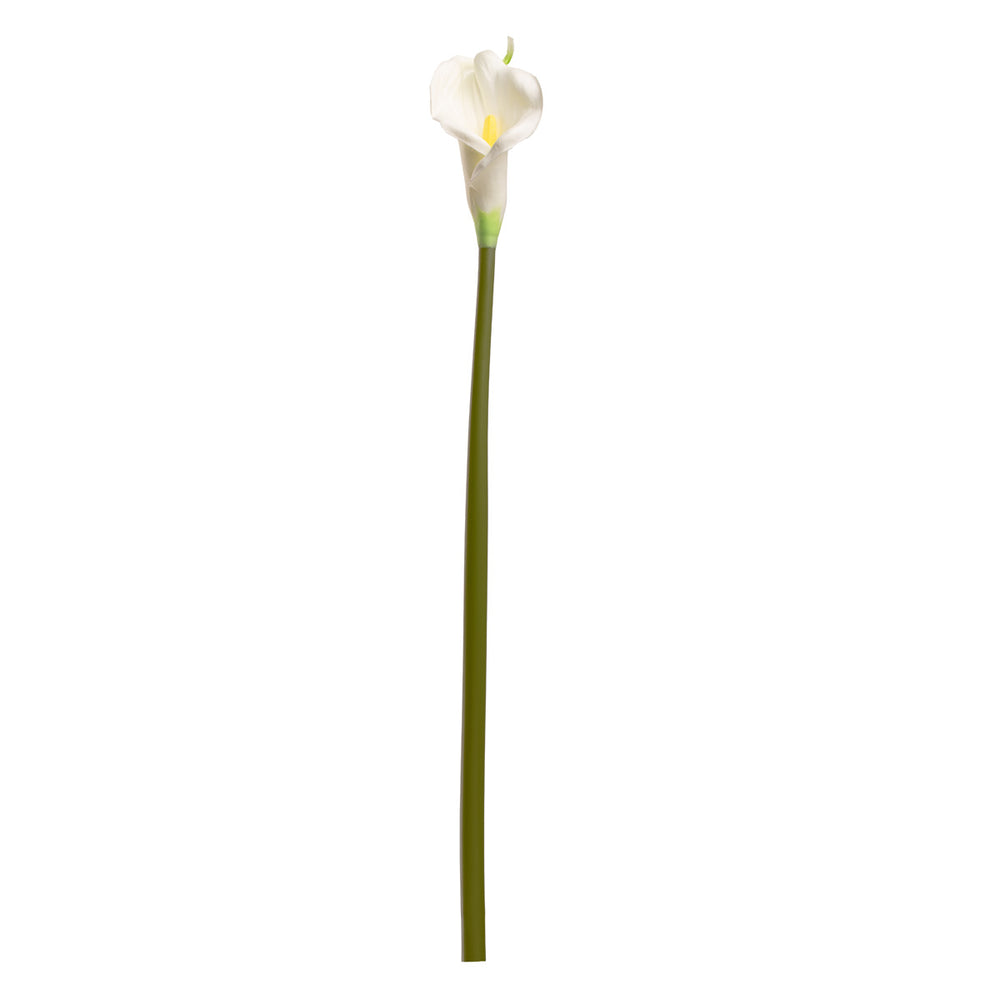 Calla Lily White Long Tall Stem image 0
