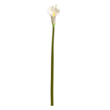 Calla Lily White Long Tall Stem image 0