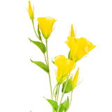 Eleganza Lisianthus Spray x 3 Yellow image 1