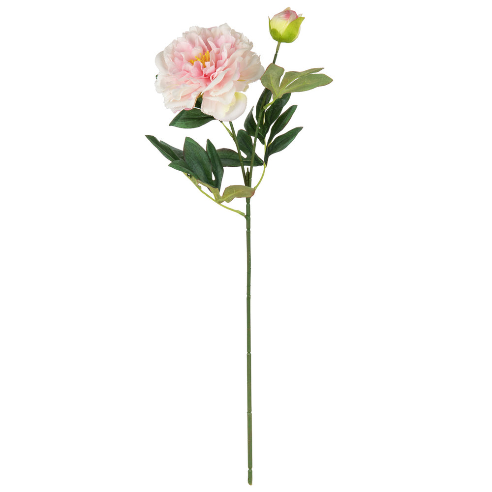 Peony Spray x 2 Light Pink image 0