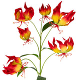 Gloriosa Flame Red
